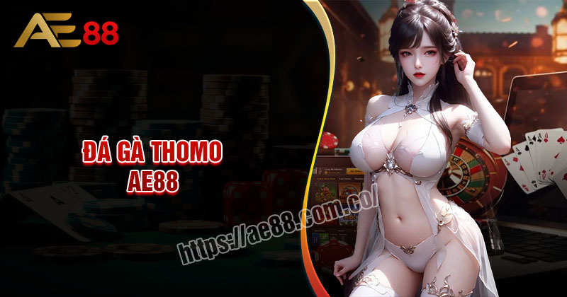 Đá gà Thomo AE88 - Trực tiếp những trận cầu nảy lửa